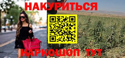 spice Гусев