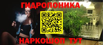 spice Гусев